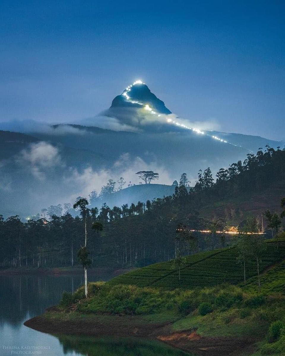 Bentota